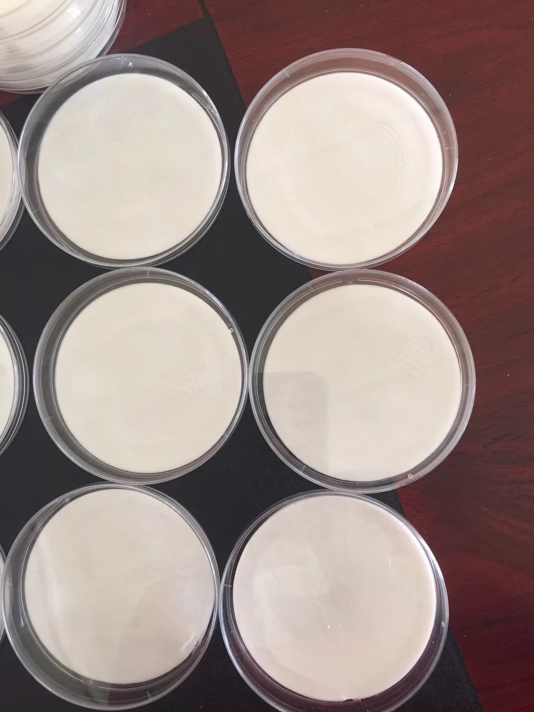 mmexport1568772632248